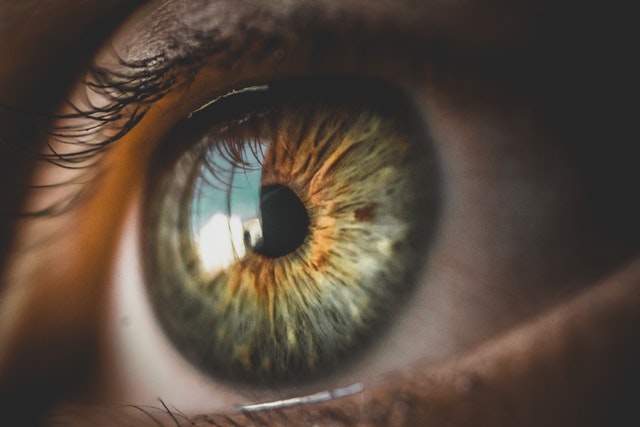 iris de l'oeil pour illustrer l'Esprit, le Shen qui se manifeste dans le regard.