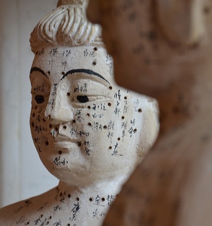 Statue anatomique avec les points des méridiens en médecine traditionnelle chinoise