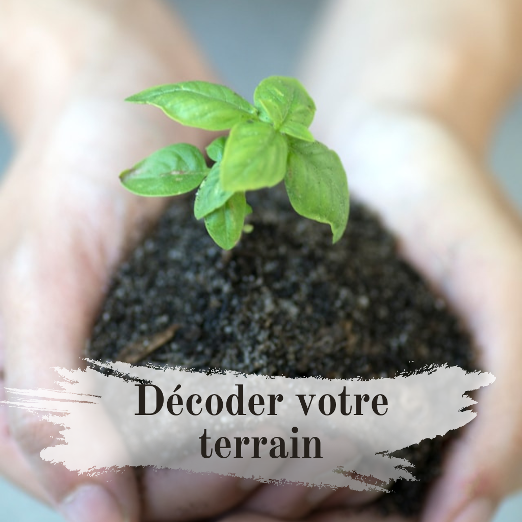 Comprendre sa typologie naturelle.