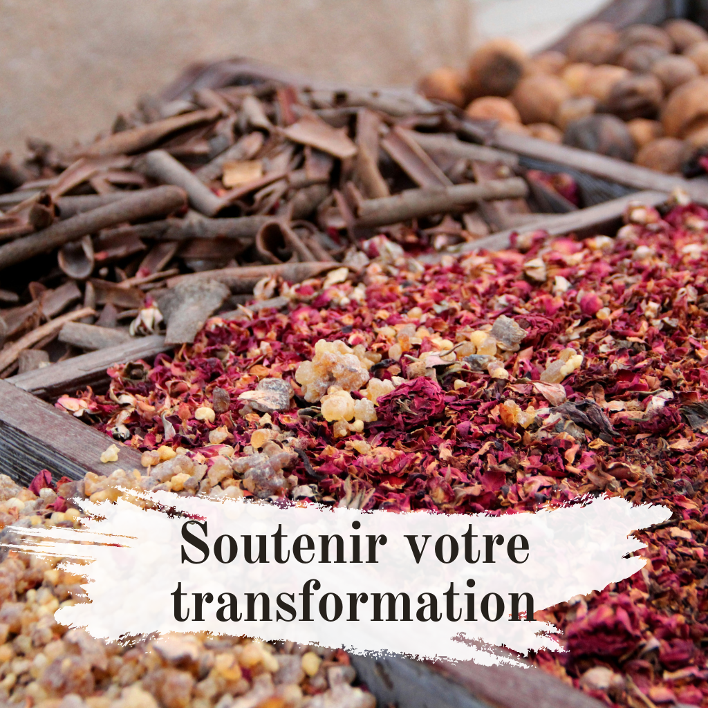 Plantes, fleurs pour illustrer la pharmacopée chinoise