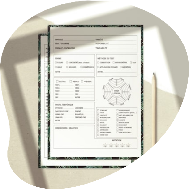 Image questionnaire pour illustrer le bilan énergétique